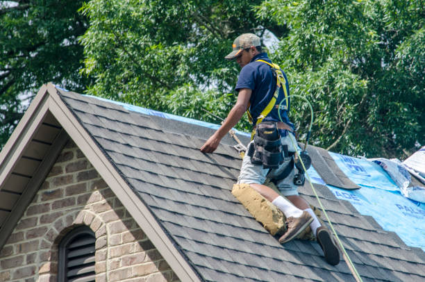Best Gutter Installation and Roofing  in Electra, TX